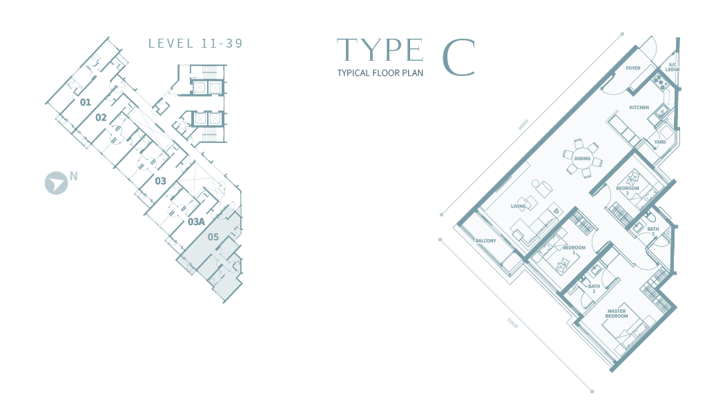 Type C